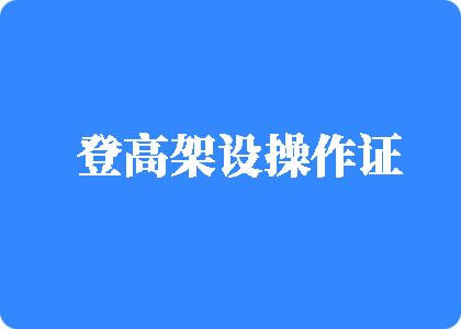 不要艹我啊啊啊啊人兽视频登高架设操作证